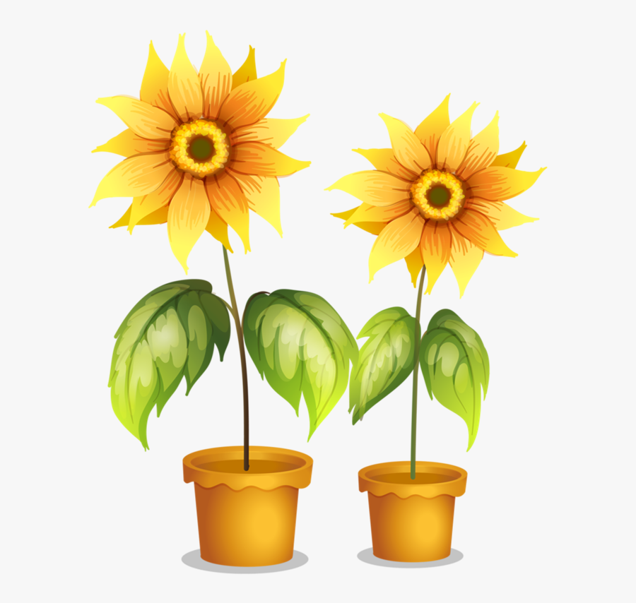 S For Sunflower, Transparent Clipart