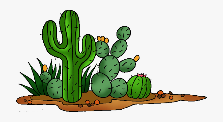 Cactaceae Saguaro Prickly Pear Clip Art - Cactus Cliparts, Transparent Clipart