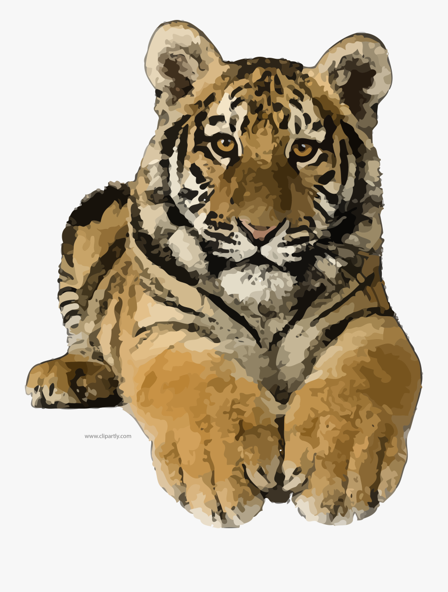 Tiger Transparent, Transparent Clipart