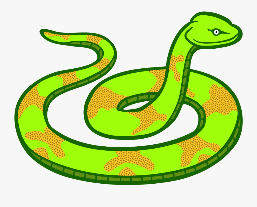 Snake Clipart Bull Snake - Transparent Background Snake Clipart, Transparent Clipart