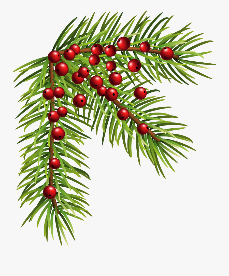 Christmas Tree Clipart Branches - Christmas Clip Art Corner, Transparent Clipart