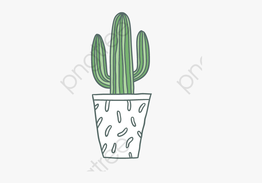 Cactus Clipart Vector - Кактус На Прозрачном Фоне, Transparent Clipart