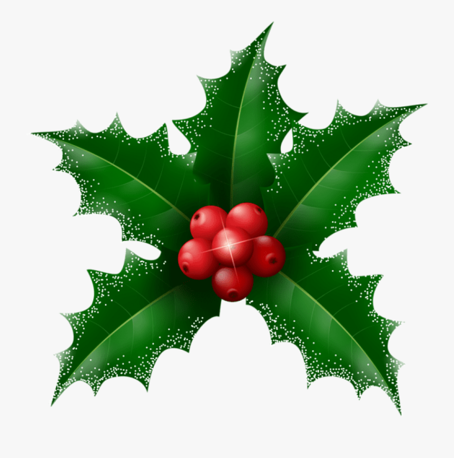 Holly Leaf Clipart At Getdrawings Free Transparent - Transparent Holly Leaves, Transparent Clipart