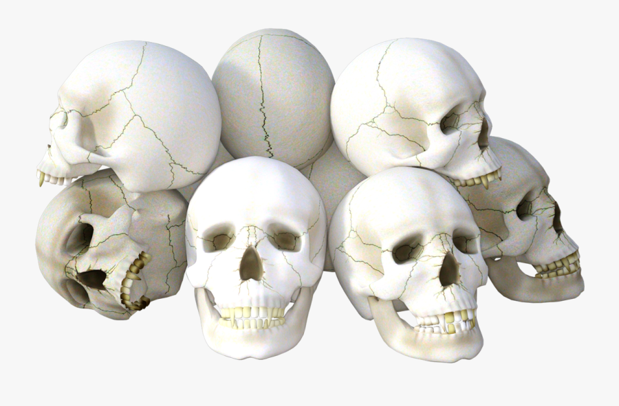 Skull Png Background Clipart - Transparent Background Skeleton Head Hd Png, Transparent Clipart