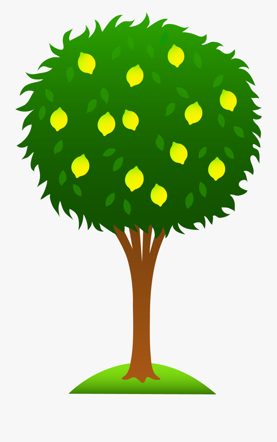 Cartoon Lemon Tree Clipart - Lemon Tree Drawing Easy, Transparent Clipart