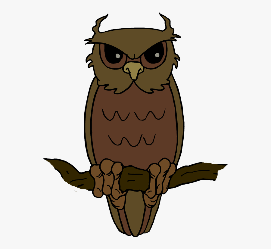 Owl - Clipart - Real Owl Clip Art, Transparent Clipart