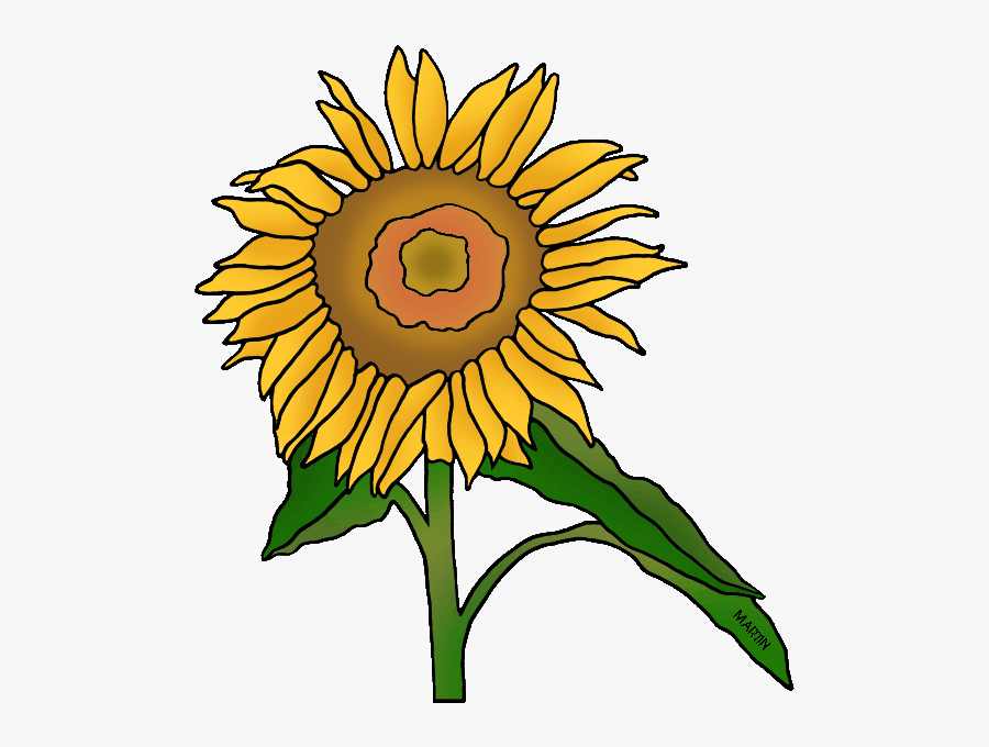 Sunflower Clipart Kansas - Phillip Martin Clipart Flower, Transparent Clipart