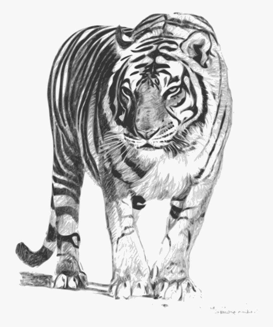 Free Clipart - Tiger Png Black And White Hd, Transparent Clipart