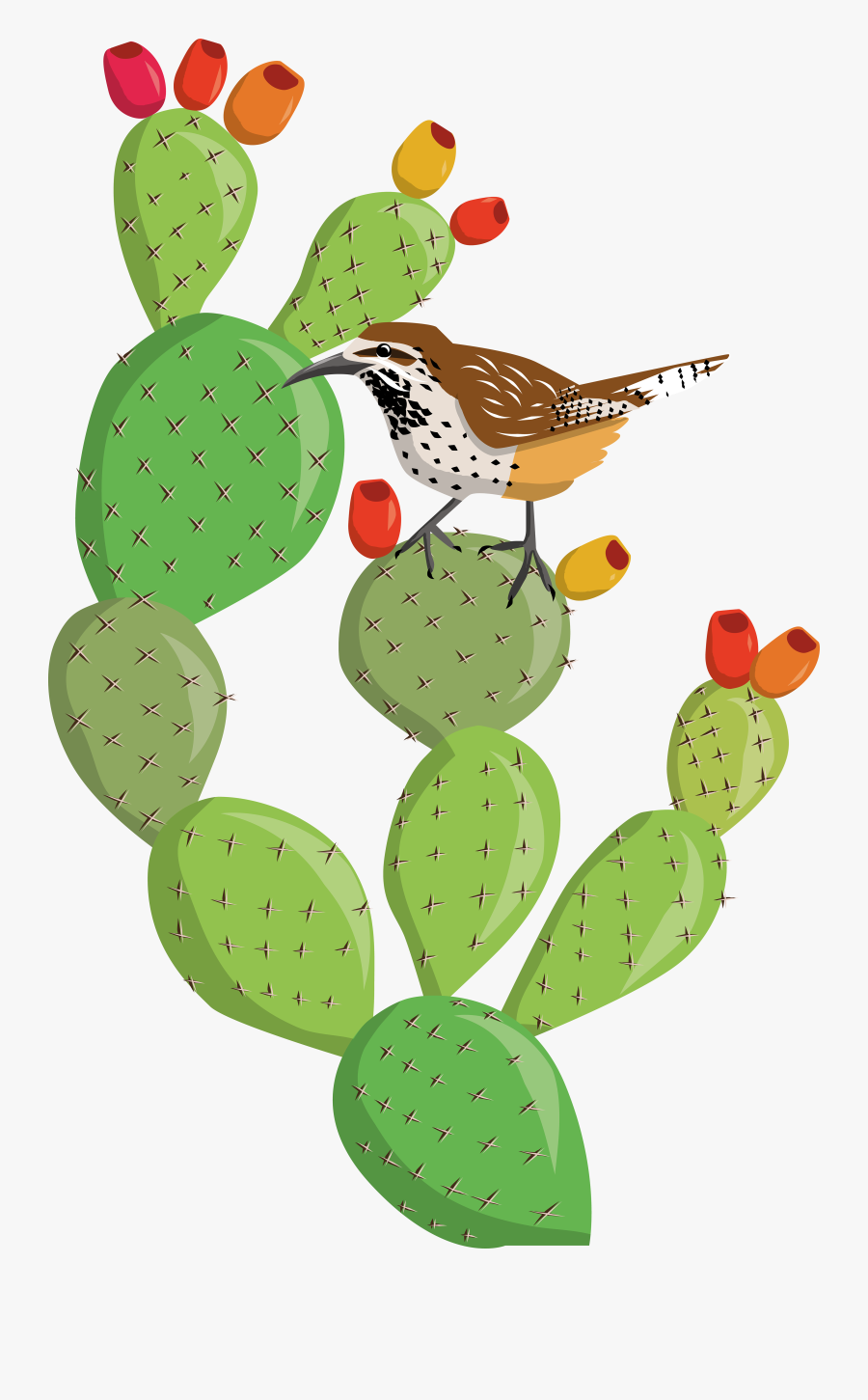 Transparent Cactus Flower Clipart - Prickly Pear Cactus Clipart, Transparent Clipart