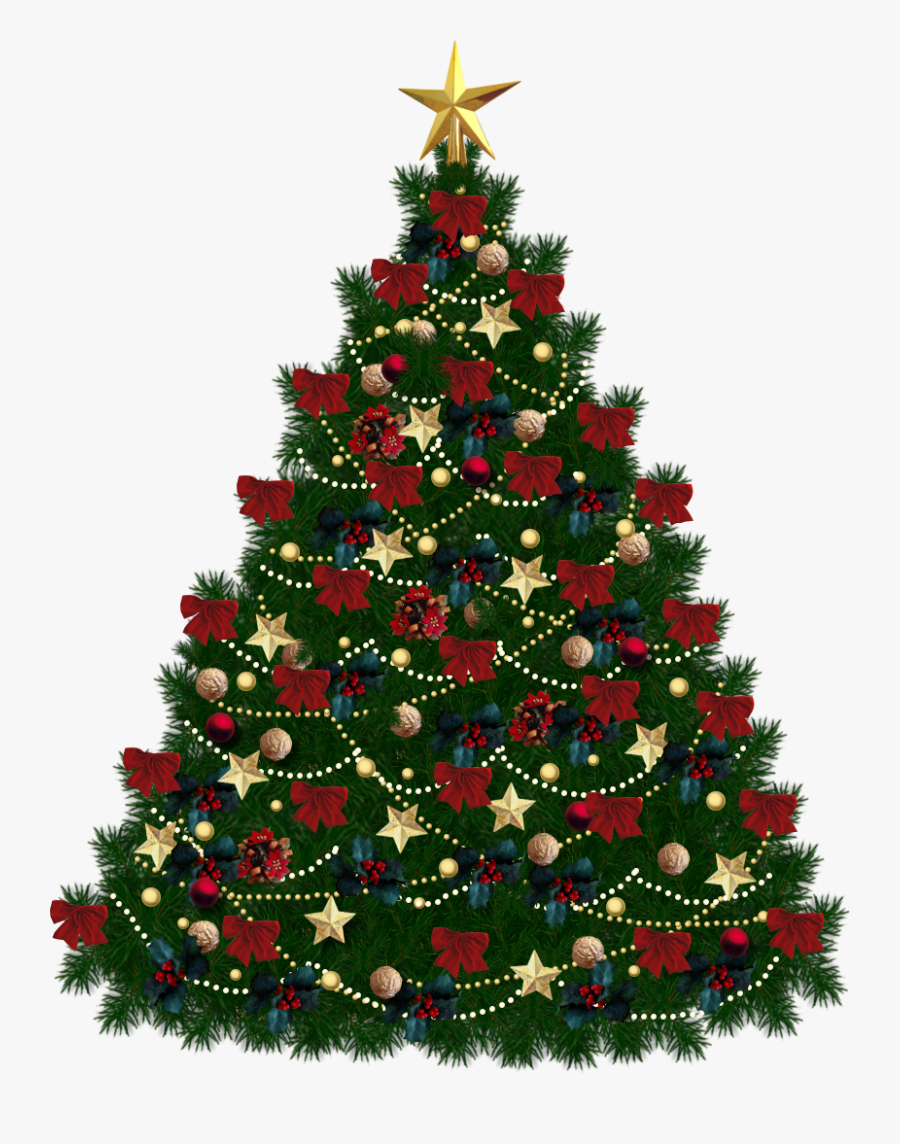 Fir Tree Png - Christmas Tree Png, Transparent Clipart