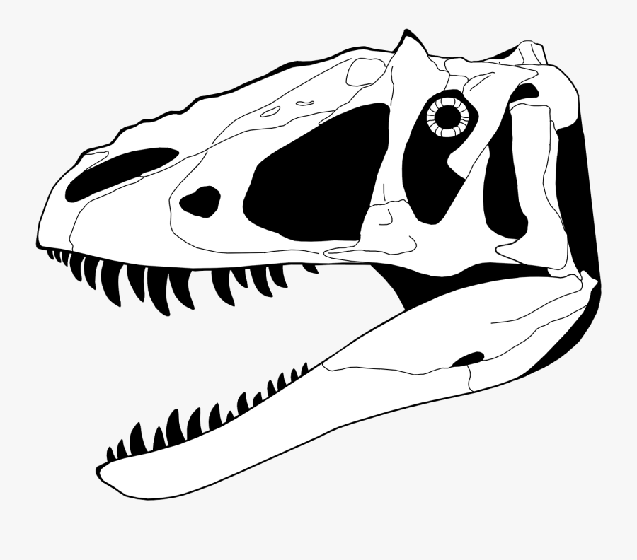 Skull Clipart Dinosaur - Dinosaur Skull Coloring Page, Transparent Clipart
