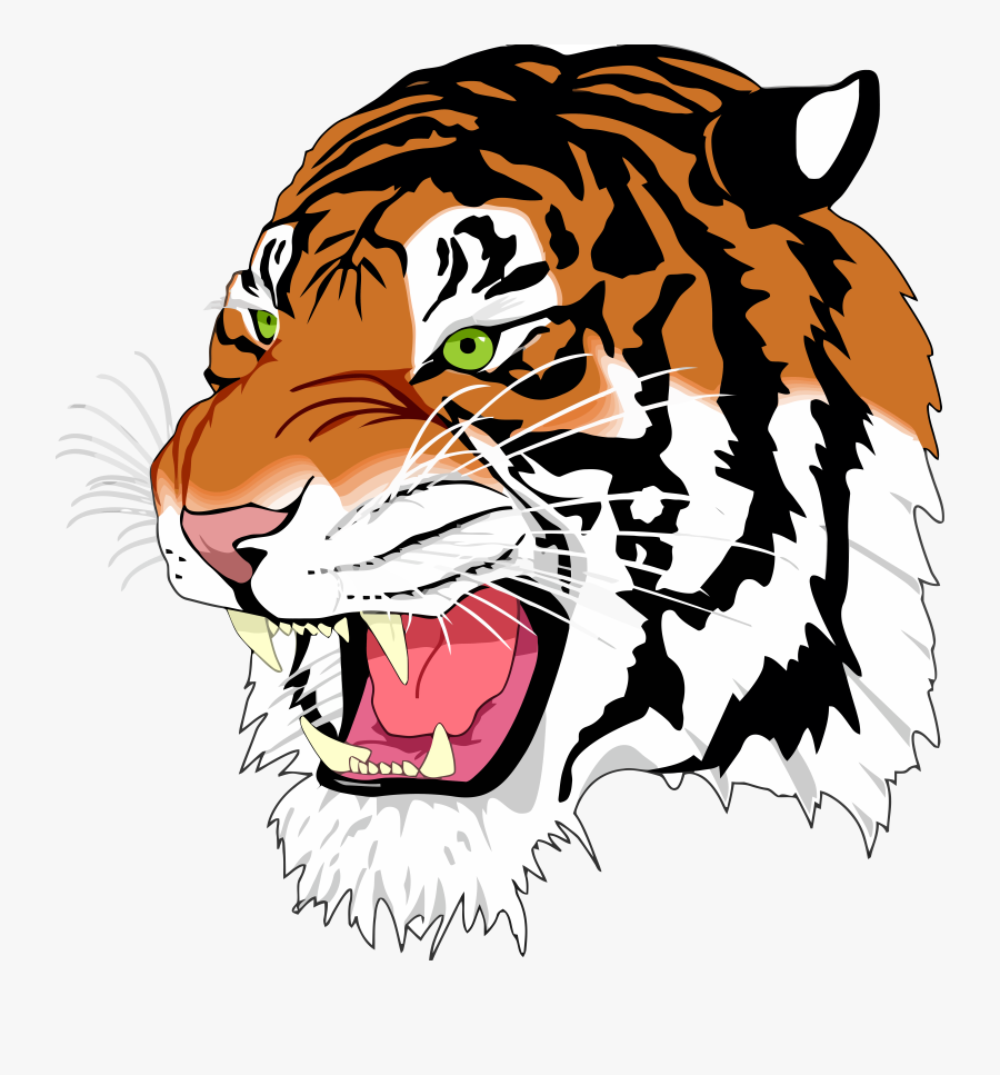 Png Tiger Kostenlos - Svg Example, Transparent Clipart