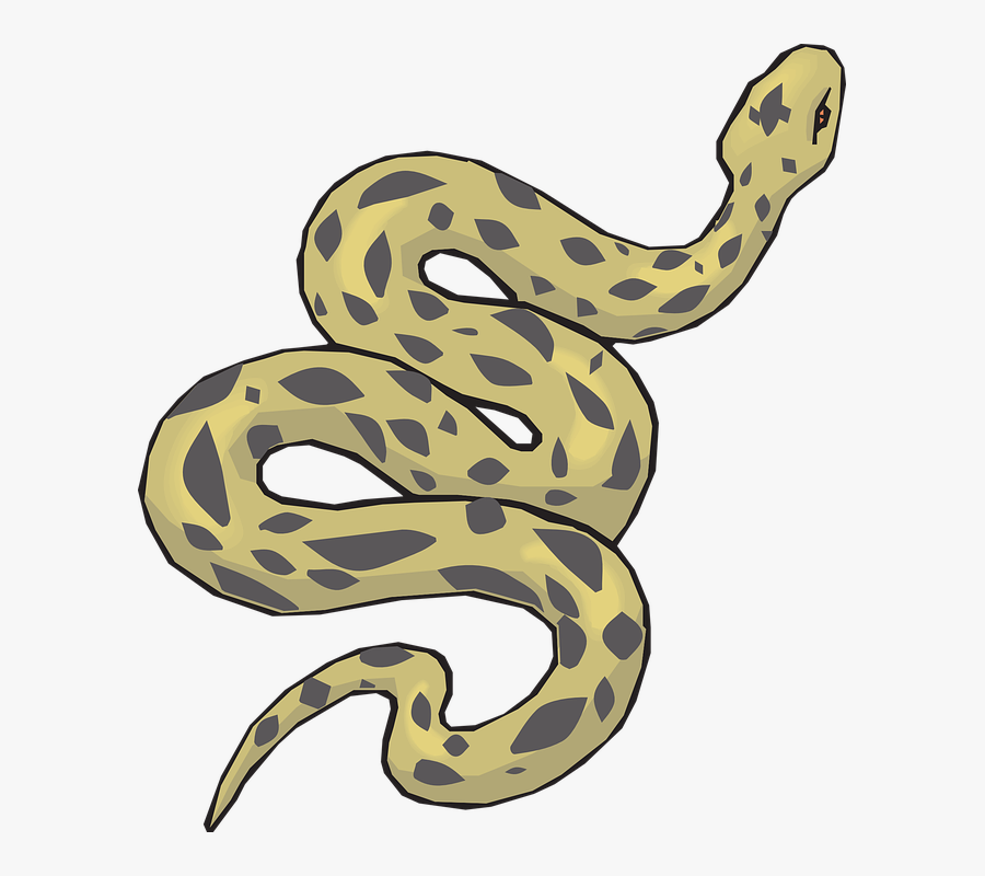 Snake Clipart, Transparent Clipart
