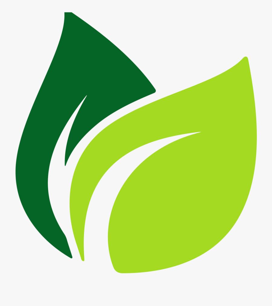 Image Result For Leaf Vector - Vector Leaf Logo Png, Transparent Clipart