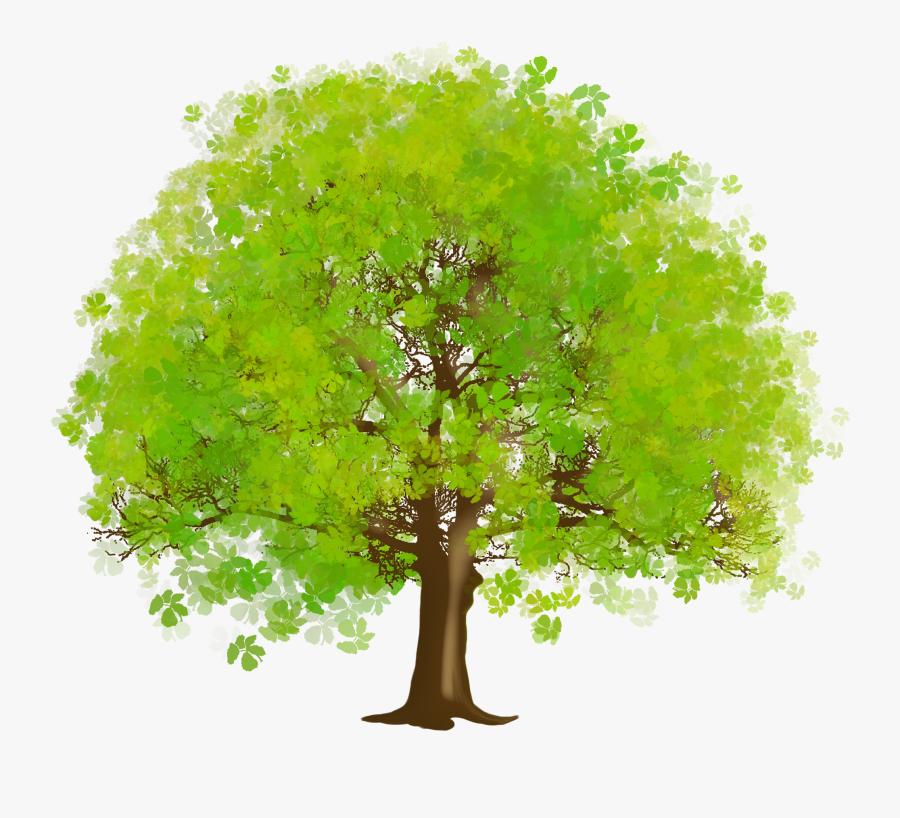 Large Green Tree Png Clipart - Clipart Tree, Transparent Clipart