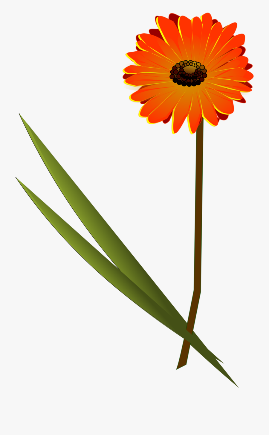 Plant,flower,sunflower - Gerbera Flower Free Vector, Transparent Clipart