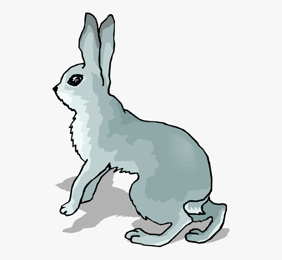 Bunnies Clipart Snowshoe Rabbit - Clipart Hare, Transparent Clipart