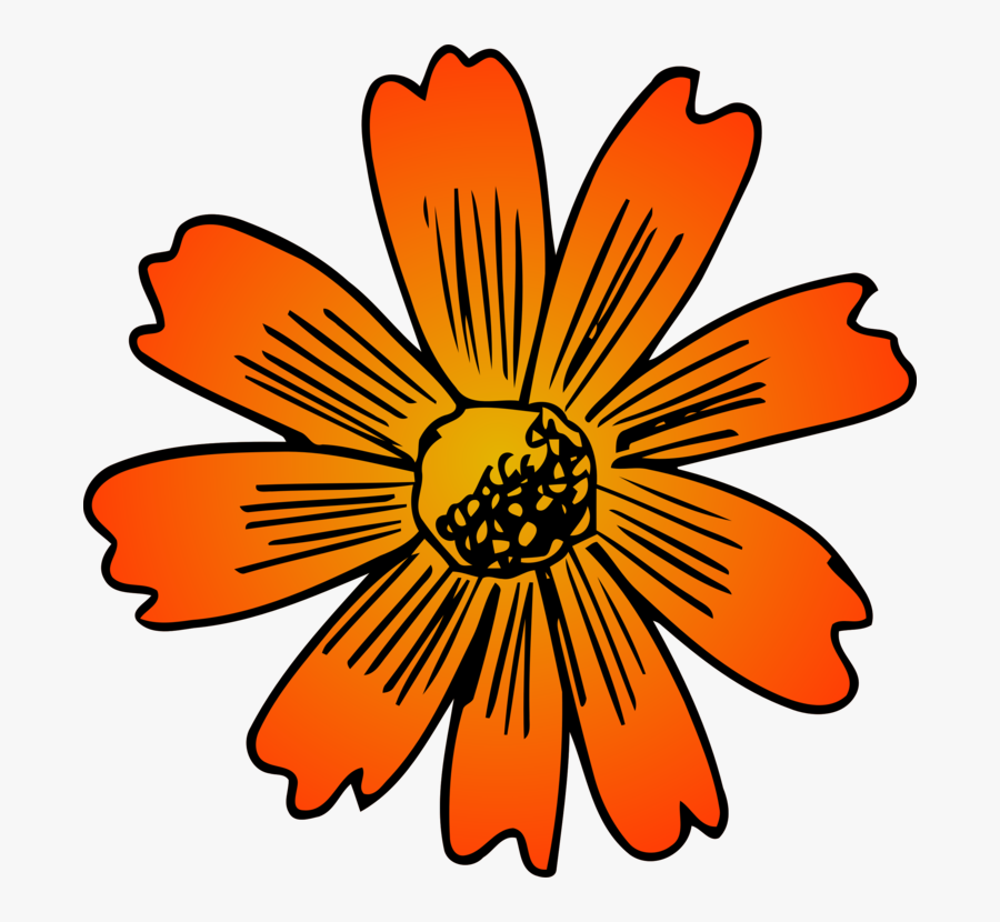 Transparent Sunflower Clipart Png - African Daisy, Transparent Clipart