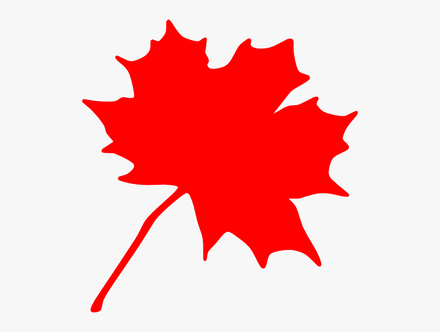 Maple Leaf Clipart Black And White - Maple Leaf Clip Art, Transparent Clipart