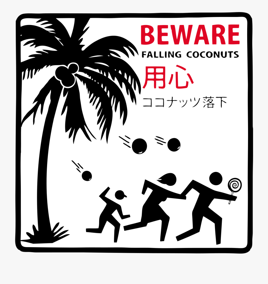 Coconut Fall On Head, Transparent Clipart