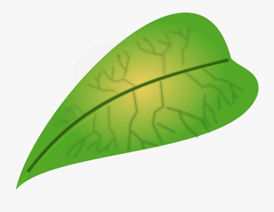 Free Pictures Download Clip - Small Leaf Clipart, Transparent Clipart