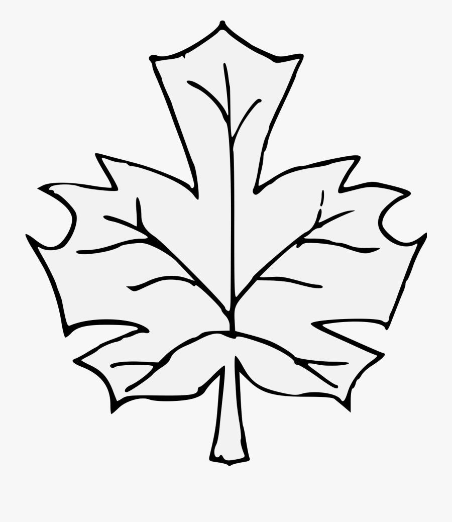 Leaf Clipart , Png Download - วาด รูป ระบายสี ใบไม้, Transparent Clipart