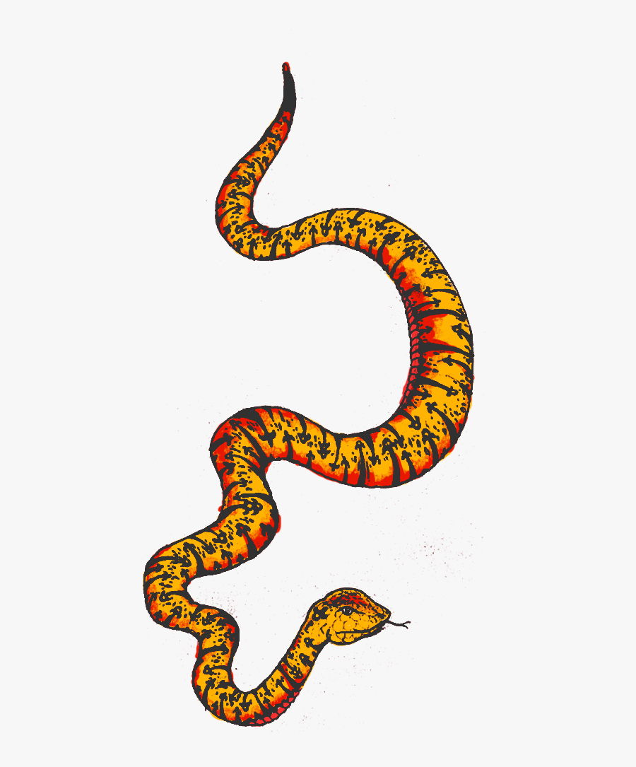 Colourful Snake Png Clipart , Png Download - Python, Transparent Clipart