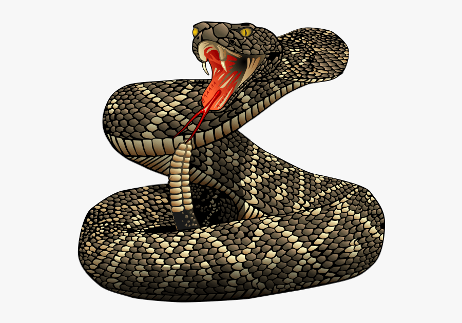 Free To Use & Public Domain Snakes Clip Art - Rattlesnake Png, Transparent Clipart