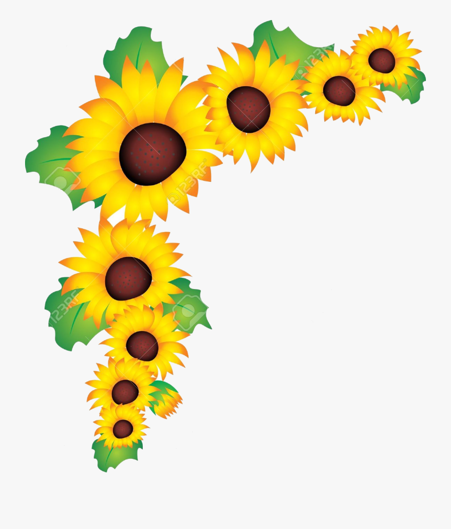 Sunflower Vector Clipart Pencil And In Color Transparent - Clip Art Sun Flower Border, Transparent Clipart