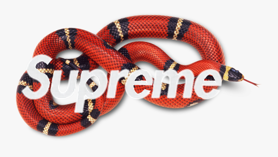 Snake Clipart Gucci, Transparent Clipart