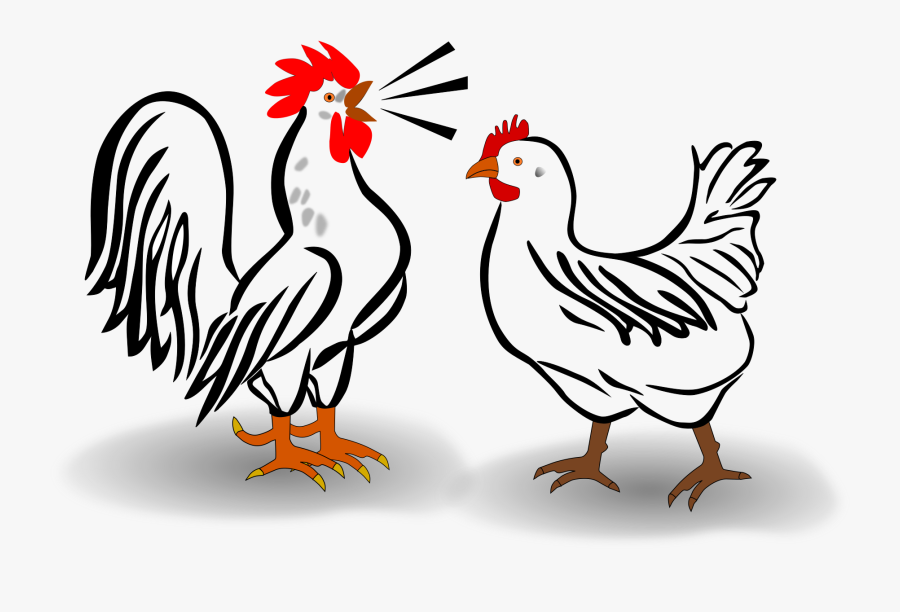 Rooster And Chicken Ljiqyy Clipart - Rooster And Chicken Clipart, Transparent Clipart