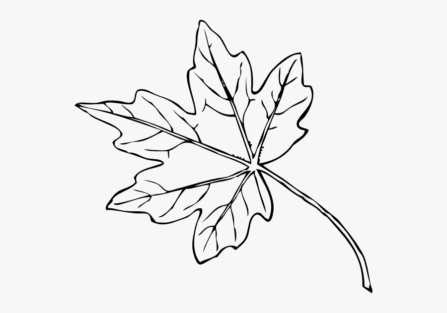 Maple Leaves Black And White, Transparent Clipart