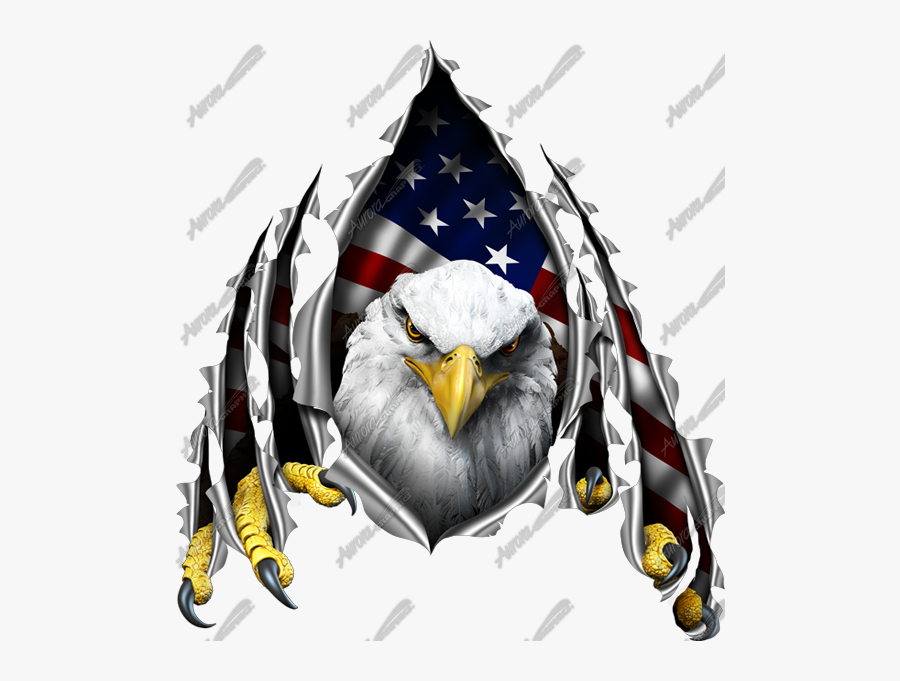 Download Eagle Ripping Through American Flag Clipart - These Colors Don T Run Eagle, Transparent Clipart