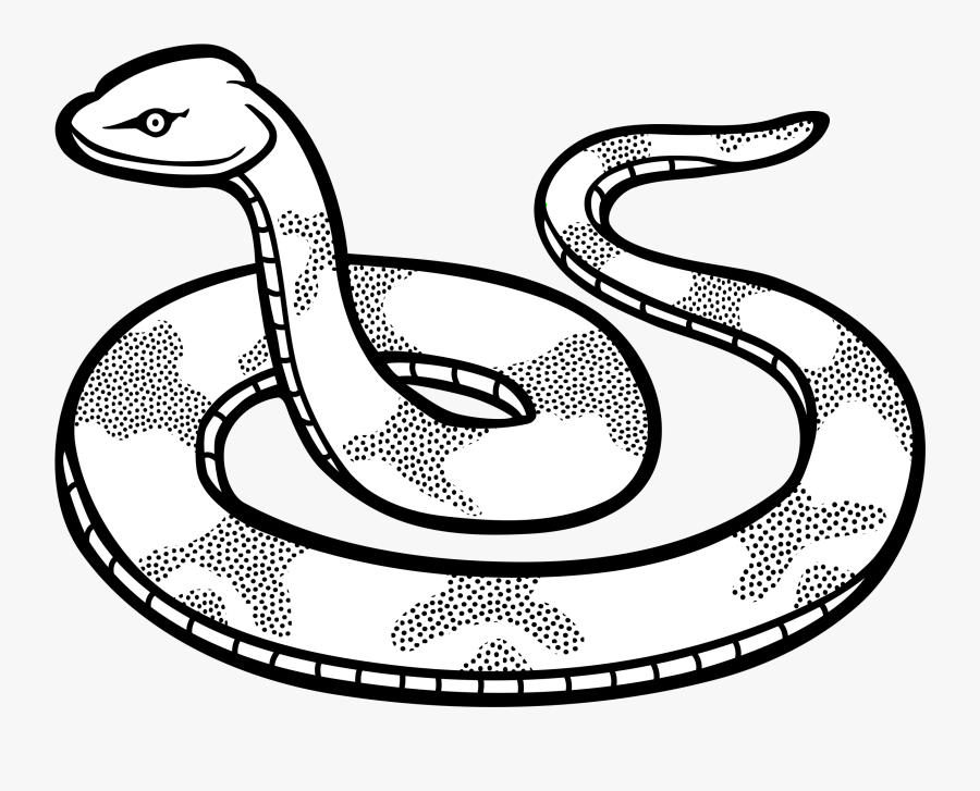 Clipart Of Snake, Snake Of And Snake To - Draw A Snake, Transparent Clipart