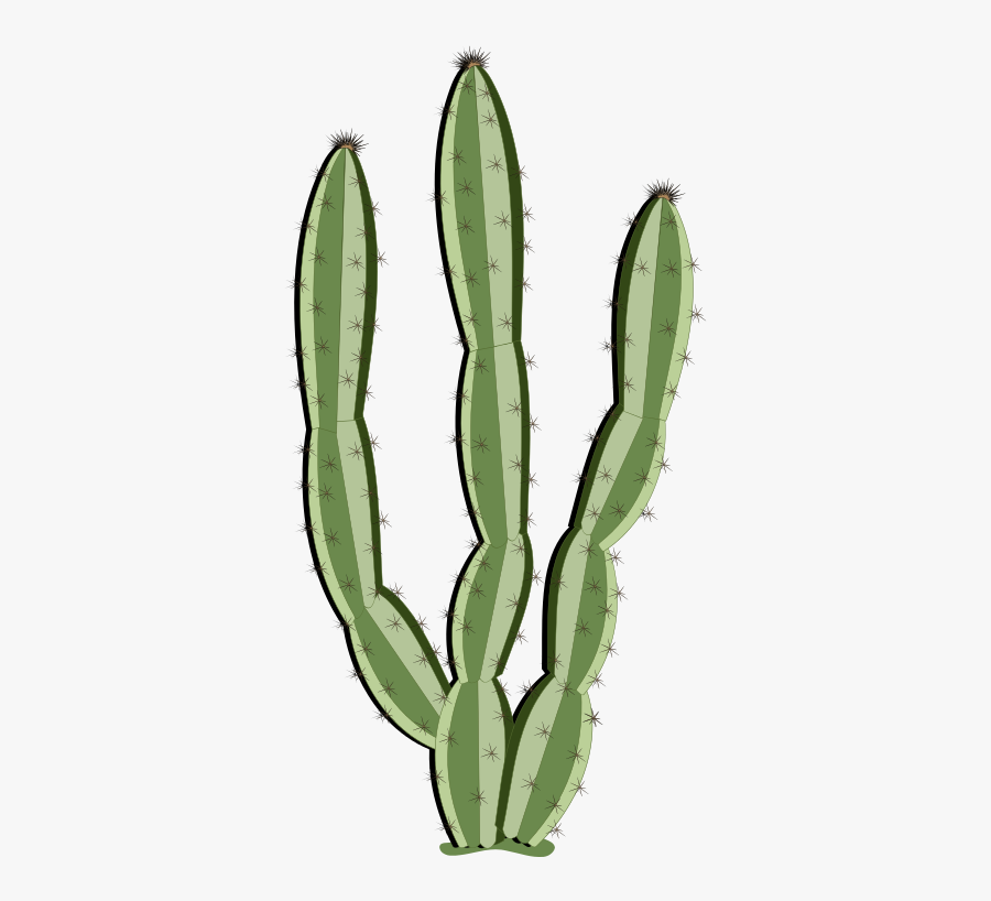 Desert Scene Clipart At Getdrawings - Cactus, Transparent Clipart
