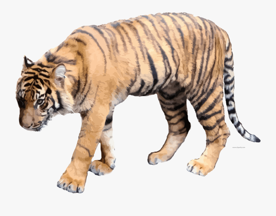 Soft Color Realistic Tigger Clipart Png Picture Download - Realistic Tiger Clipart, Transparent Clipart