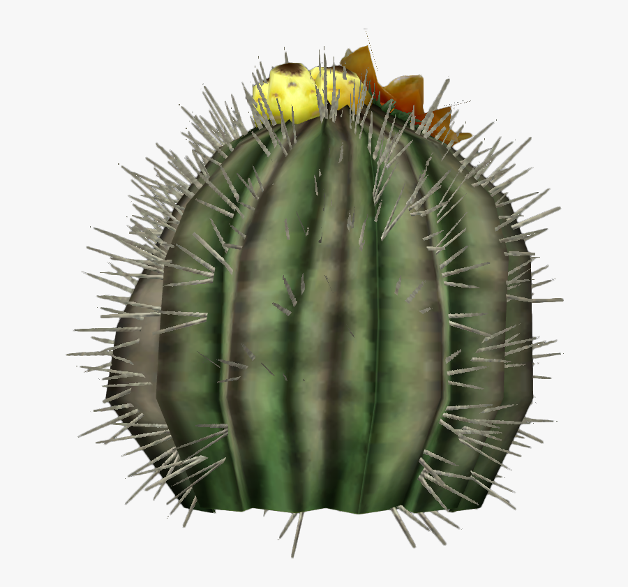 Cactus Clipart Barrel Cactus - Echinocactus, Transparent Clipart