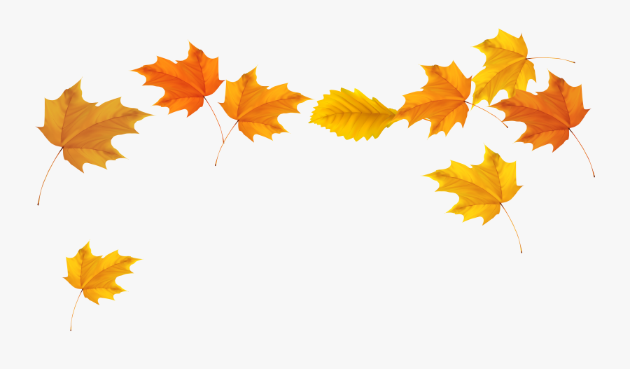 Fall Clip Art - Fall Leaves Transparent Background, Transparent Clipart