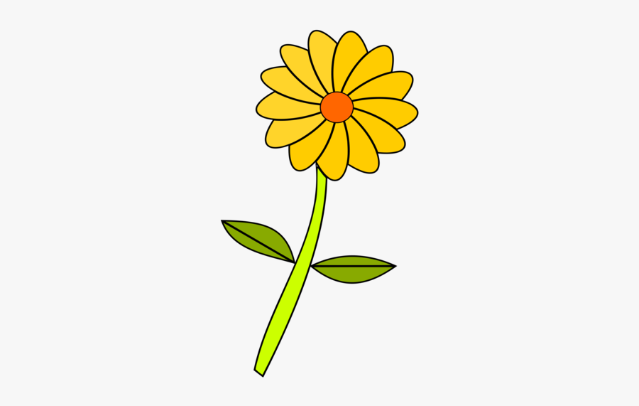 Plant,flora,sunflower - English Marigold, Transparent Clipart