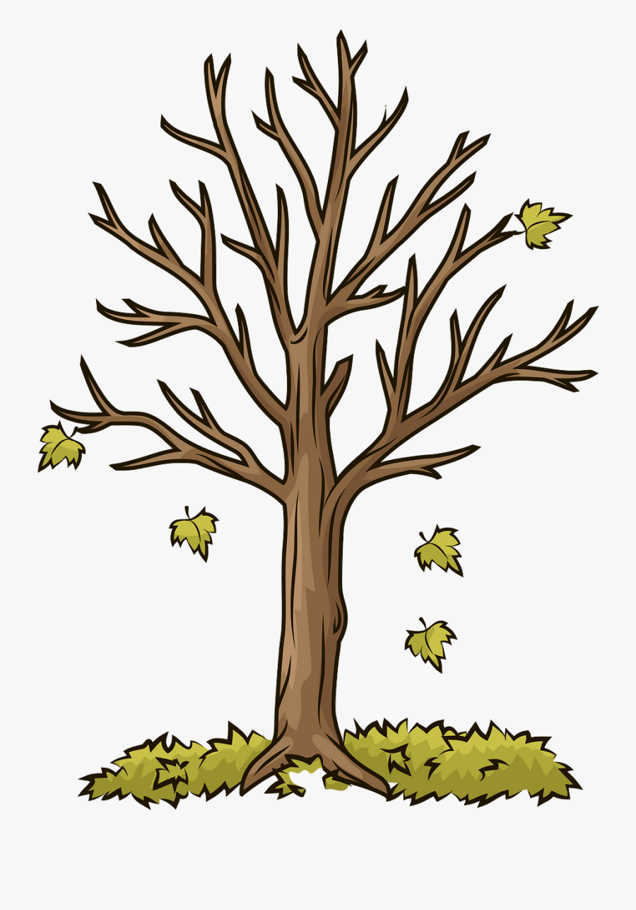 Coloring Book, Transparent Clipart