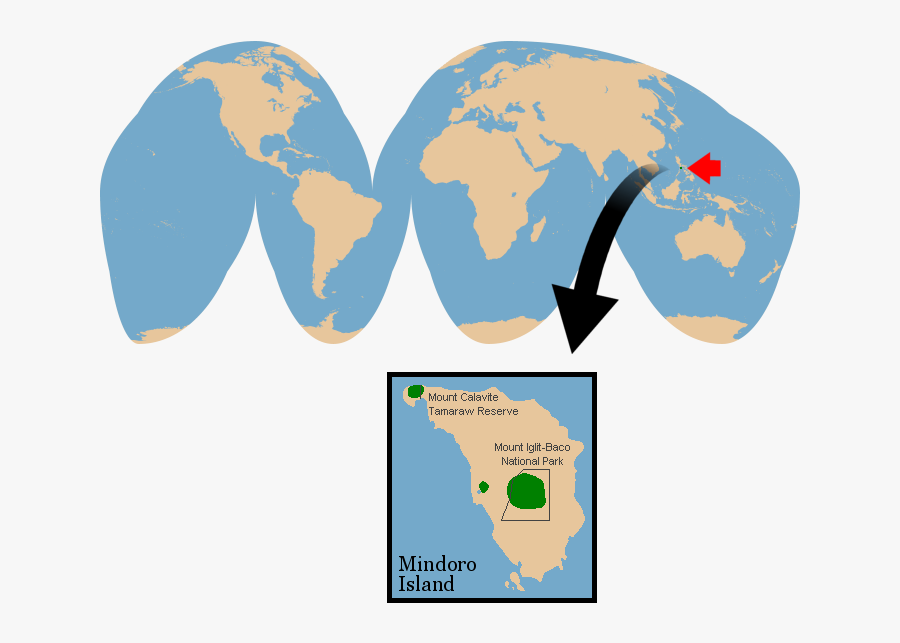 Vector Goode Homolosine Globe Clipart , Png Download - Seattle On A World Map, Transparent Clipart