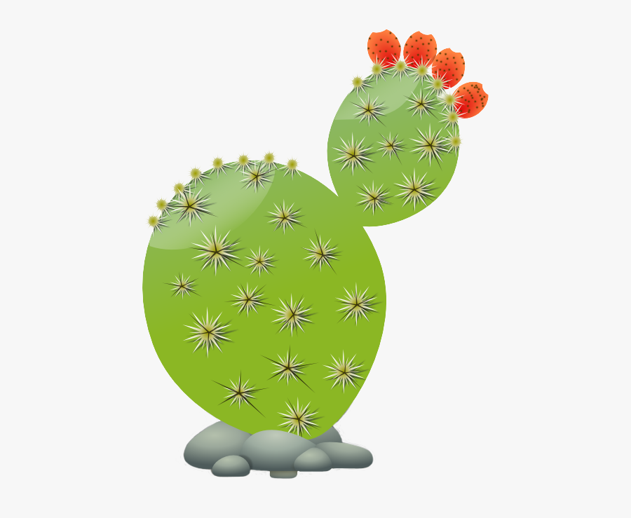 Transparent Prickly Pear Clipart - Prickly Pear Fruit Clipart, Transparent Clipart