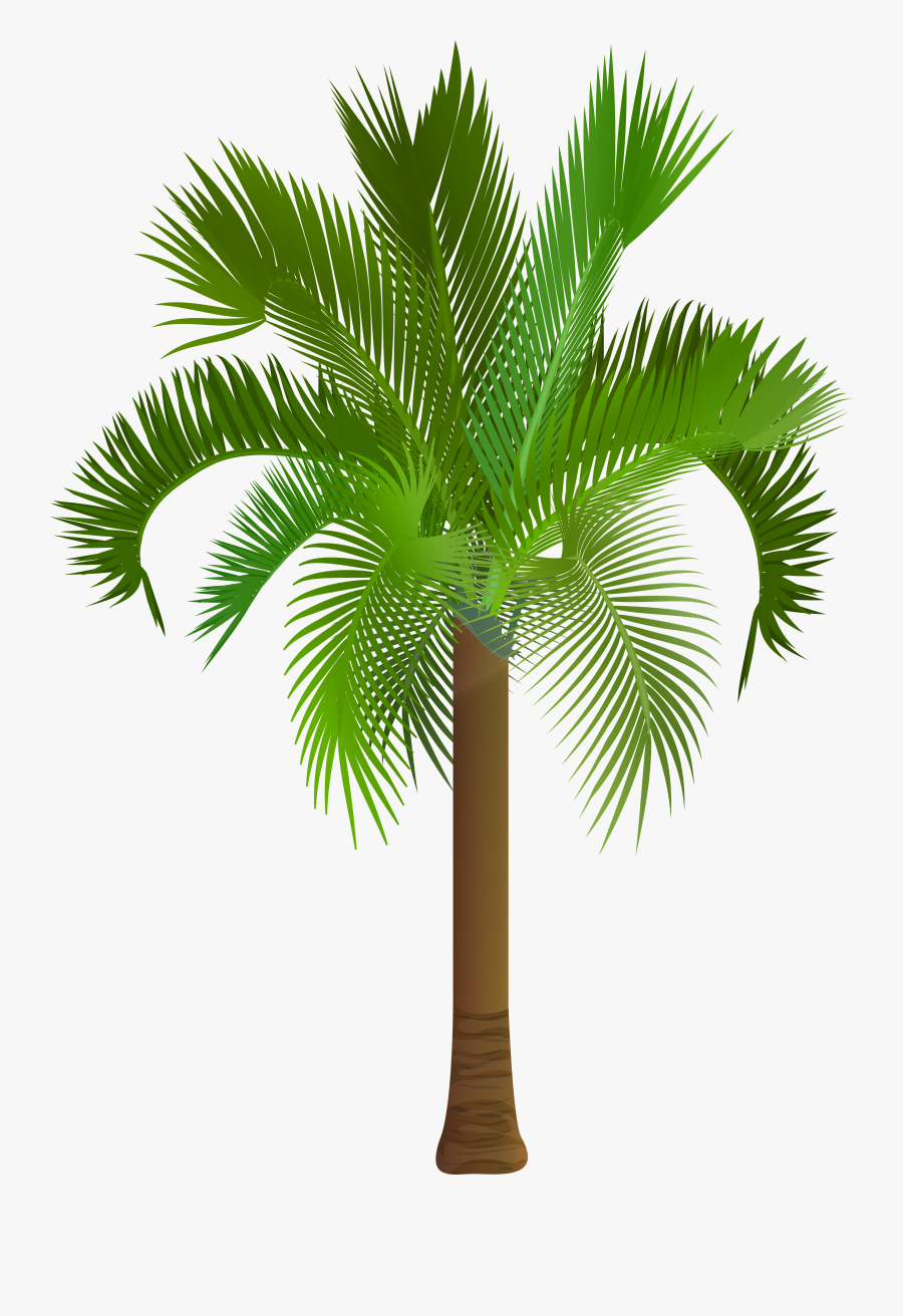 Palm Tree Clip Art Png Image, Is Available For Free - Free Date Tree Clip Art, Transparent Clipart