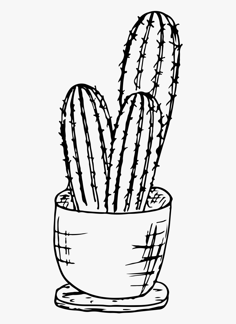 Cactus Clipart , Png Download, Transparent Clipart