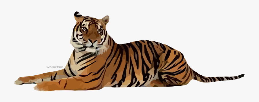 Tiger Png Transparent Images - Tiger Transparent Png, Transparent Clipart