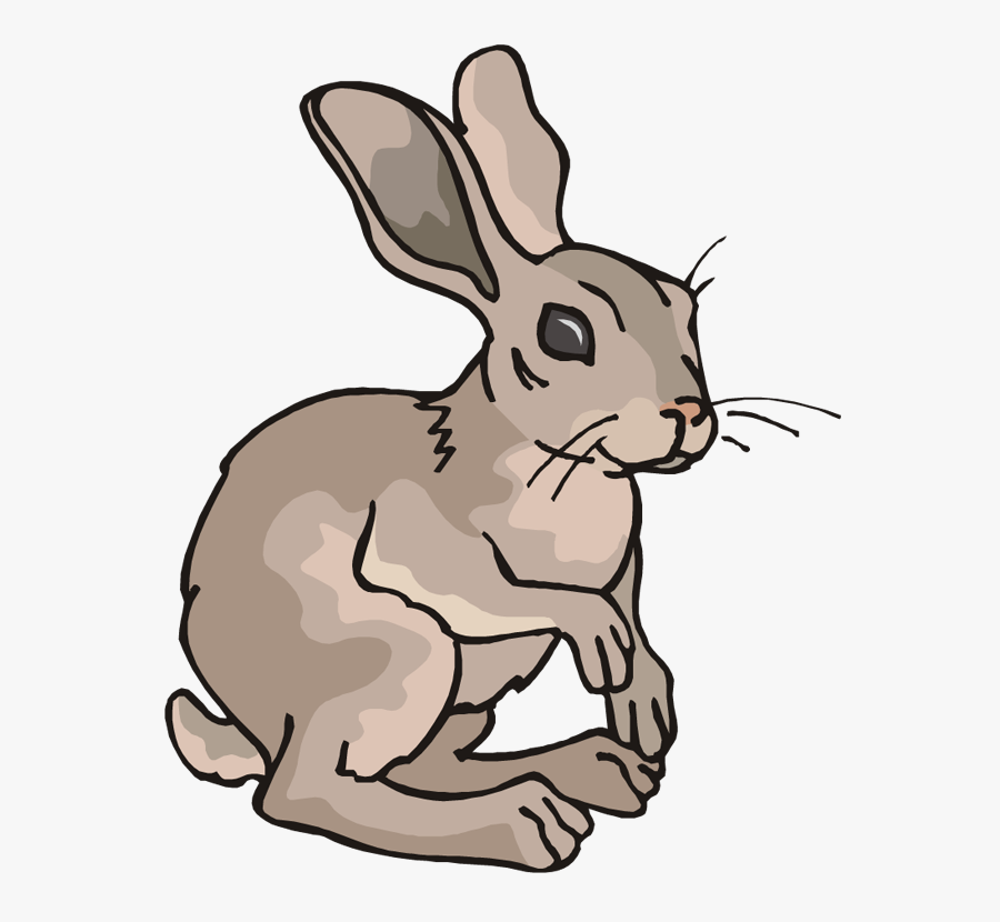 Bunny Clipart Running - Hare, Transparent Clipart