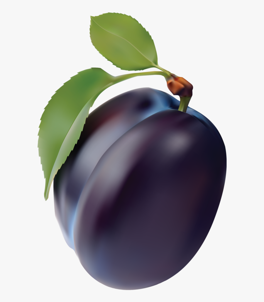 Fruits Clipart Star Apple - Prune Vector, Transparent Clipart