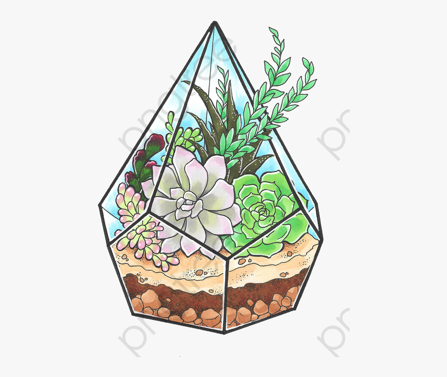 Cactus Clipart Succulent - Succulents Cartoon Png, Transparent Clipart