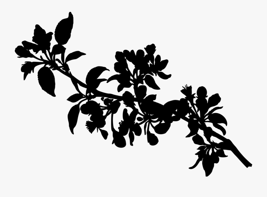 Apple Tree - Apple Tree Branch Silhouette, Transparent Clipart