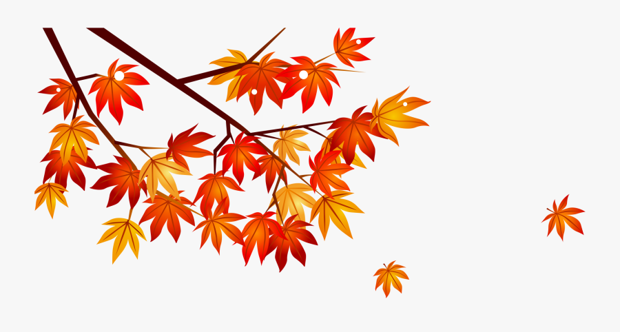 Maple Leaf Clipart Watermelon - Maple Clipart, Transparent Clipart